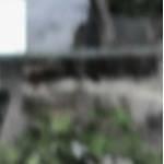 MeloMaisa's tweet photo. http://t.co/Es7SVp3PA0