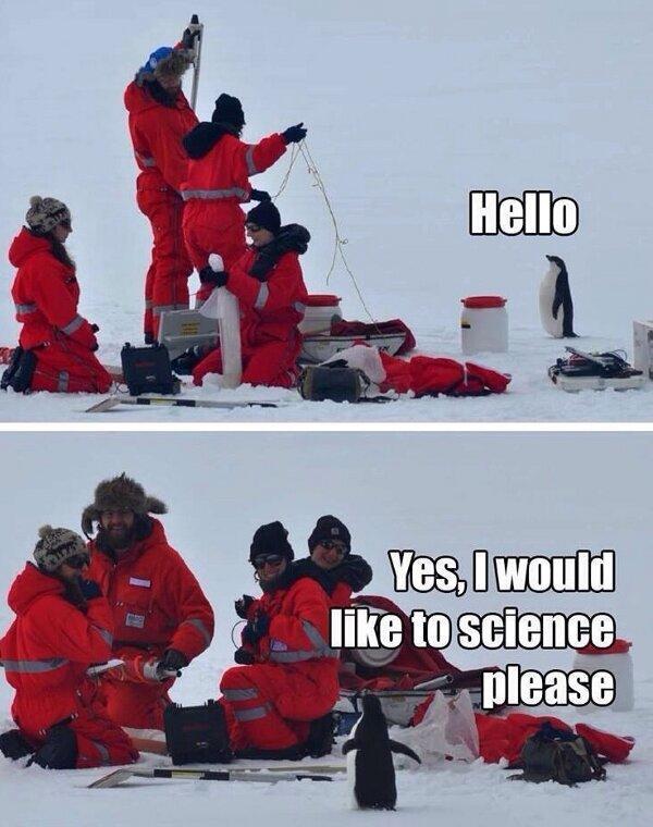MensHumor's tweet image. Yes, I would like to science please!