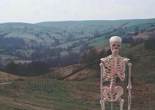 leonalewis's tweet photo. Waiting on @BrunoMars to follow me http://t.co/PIOJFVJ1Lv