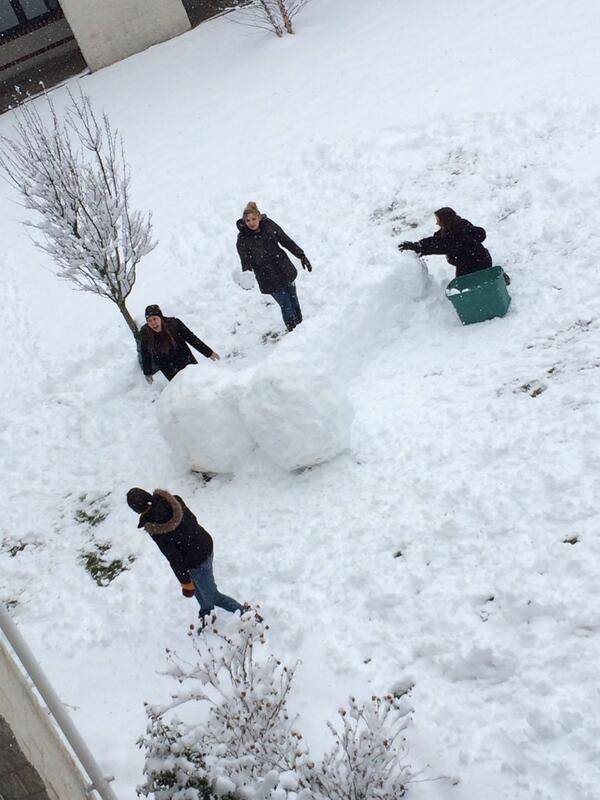 ShannonHeilman's tweet photo. woke up to a group of girls in my building sculpting a giant penis in the courtyard. @OnlyAtKU http://t.co/Nl3yLFoeB5