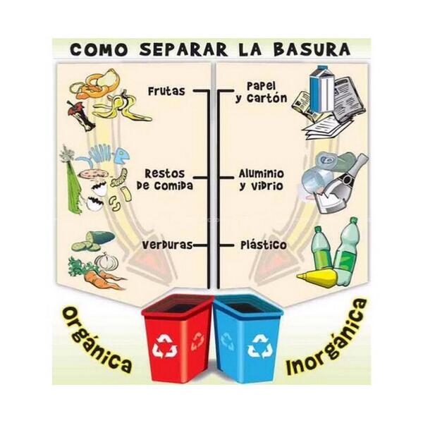 Fundacion Tortuguias on Twitter: Fundacion Tortuguias on Twitter: