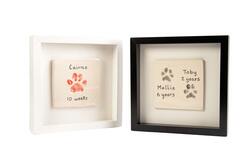 PottyEmma's tweet image. #PetBizuk Looking for clay Paw imprints #lastingmemory #petimprints pottyemma.co.uk