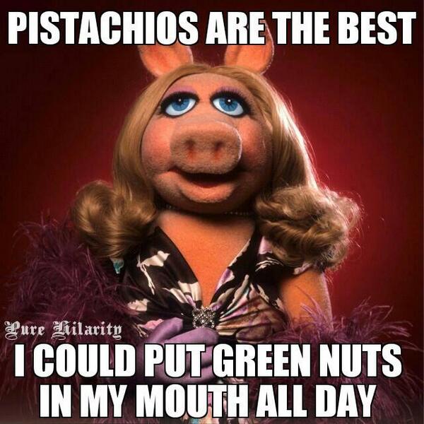 PipChurchilll's tweet image. #CMPIP