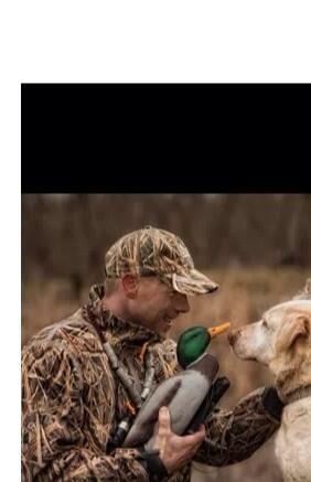 Hunting0126's tweet photo. #hunting http://t.co/Edb3coYAUY