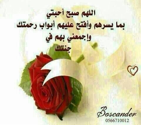 Sh111Sho's tweet photo. صباح الرضا🌹 http://t.co/bg7QMvbPWN