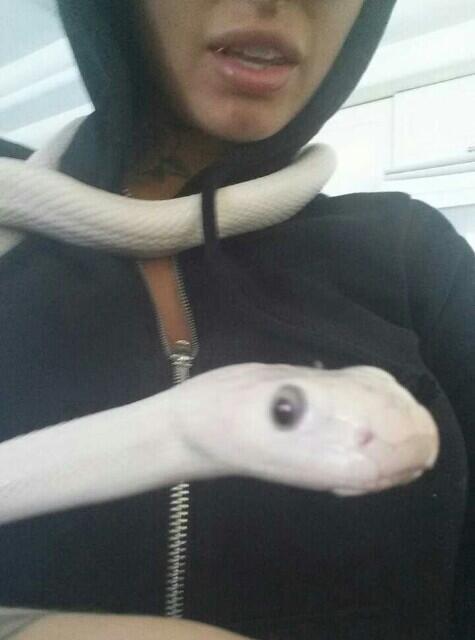 Mom, take a picture of me, mom take a picture of me, mom take a picture of meeee http://t.co/Rhxx60P