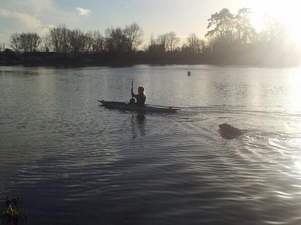 waterlevels's tweet photo. Walking the dog #SomersetLevels #FLAG http://t.co/CJKyYouQdX