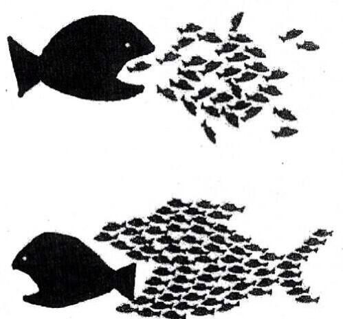 90613m's tweet photo. Together we Stand, Divided We Fall. They fear unity. Divided we are easily controlled. They don't want u to be free http://t.co/DNU6aZAj1p
