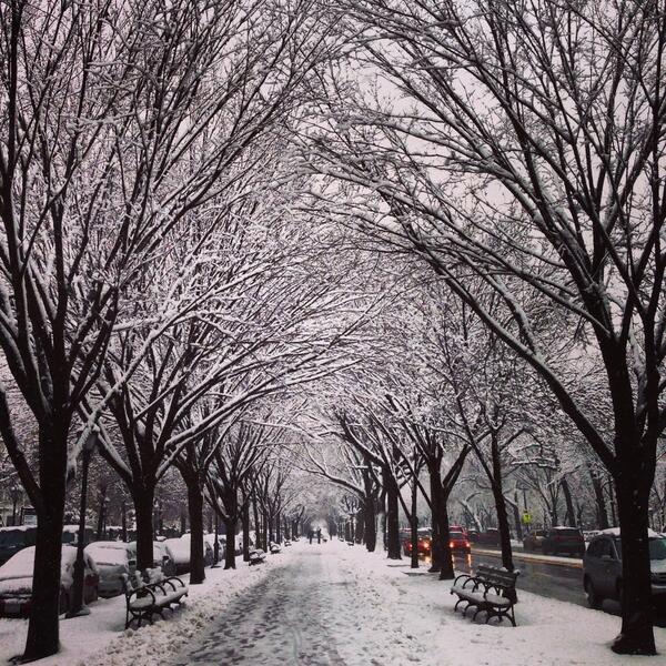 WitkemHouse's tweet photo. Eastern Parkway was gorgeous today #snowday http://t.co/9gbtTsCZvA