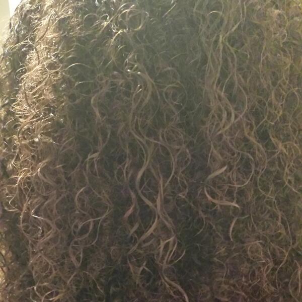 tdoubleeyou's tweet image. “@johnson_jadyn: My curls are on point tonight ;) #MixedGirlHair #CurlGame http://t.co/N1FwPMsaUW”👌👌👌😂