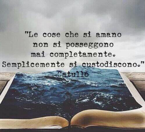 lifeonmarti's tweet image. #Catullo #docet @mtstanzy #buongiorno :)

#RT