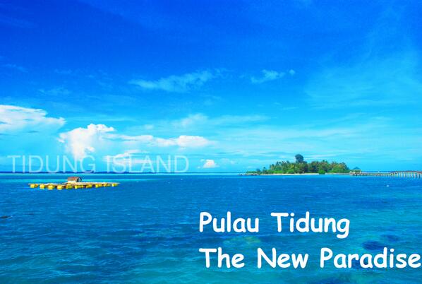 CommunityPusut tweet picture