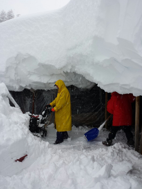 Iglu Ski tweet media