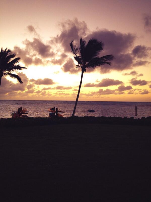 Karen Gómez tweet media