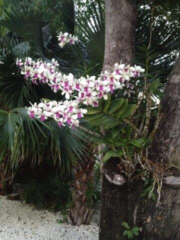 Karen Gómez tweet media