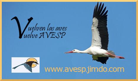 avesp_spain's tweet photo. "Por San Blas, la cigüeña verás" ¿Te vienes con @avesp_spain a darles la bienvenida? http://t.co/VbowVpPvWB