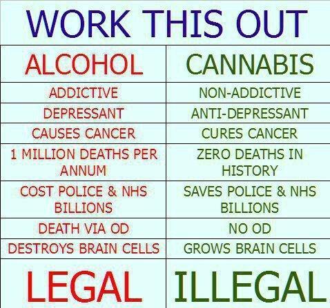 honeycomblove's tweet photo. HCL totally agree! Retweet if you agree http://t.co/qSTx68ihug