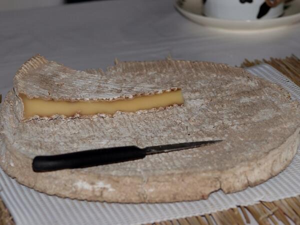 TilmanVacations's tweet image. It's called 'Brie noir' and is a local #French #chese and I can show you where to get it. Send me a #DM or a #Twitt .