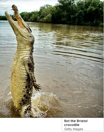 The Times and The Sunday Times tweet media