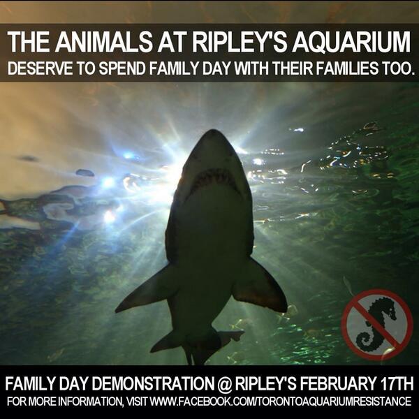 HALTtweets's tweet photo. Support our friends @marinelandAD Family Day Demo at Ripley's Aquarium #NoTanksTo #EndCaptivity #AnimalWelfare http://t.co/w3em6RMjjW