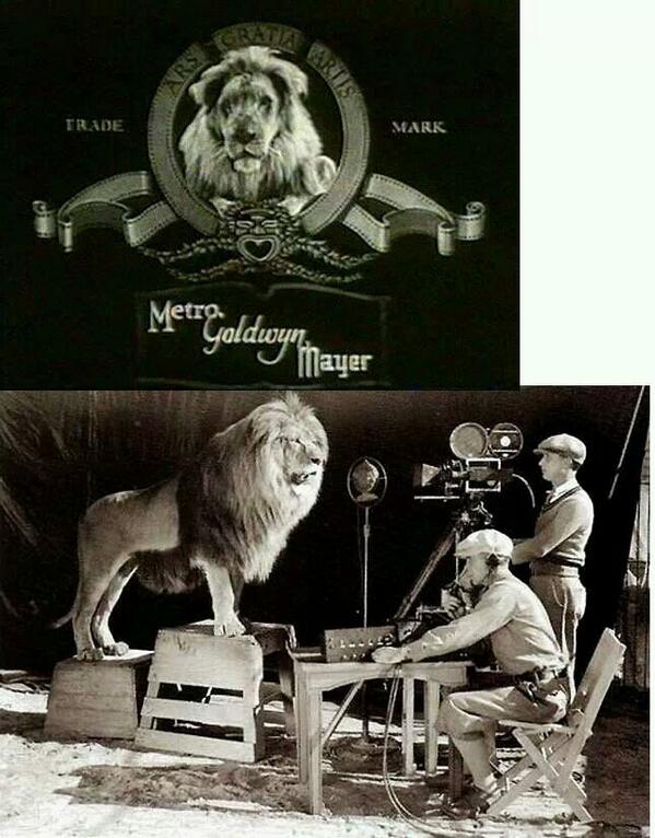 witpoll's tweet image. OMG... I DIDN'T KNOW THAT...