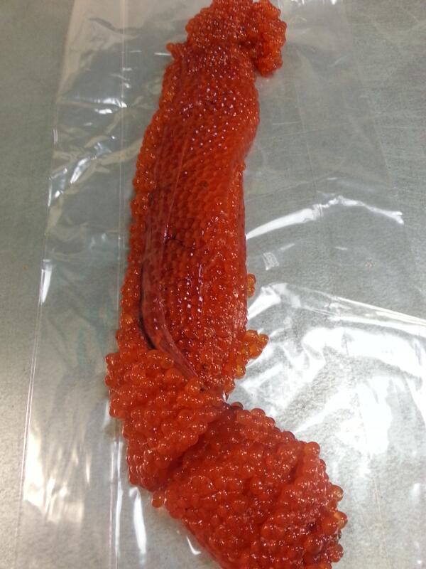 Uncured wild steelhead roe sacs landed today!