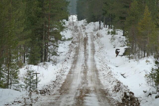 WRC: Rallye Sweden [5-8 Febrero] - Página 4 BfpBTJdCIAA_1GY