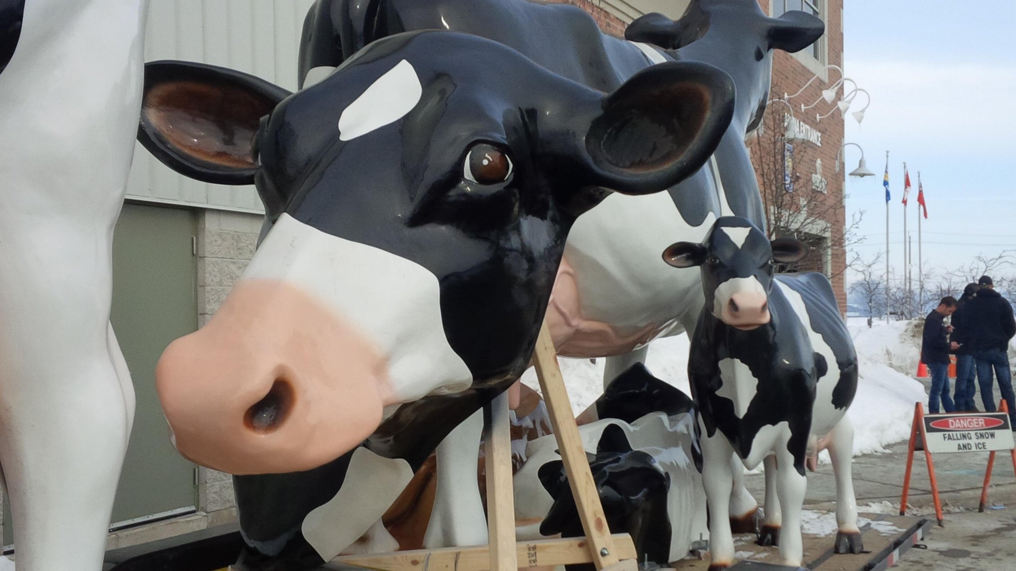 Rich Gruener on Twitter "CDX14 "mooving in"for the Dairy Expo in