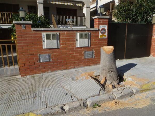 cunitdigital's tweet image. L’Ajuntament de Cunit arranja les voreres malmeses .-cunitdigital.cat/noticia.php?id…