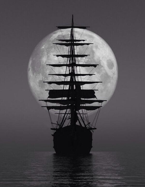 _michaelagreene's tweet photo. SOS ๐ 3 days until the ฮฆฮ pirates set sail! โต๏ธ #StepSing2014 http://t.co/QRlijWjHaG