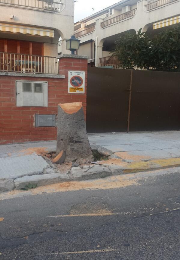 cunitdigital's tweet image. Tala indiscriminada de árboles en Cunit
Artículo de opinión del @PPCunit .
cunitdigital.cat/noticia.php?in…