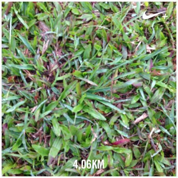 DewiAlina's tweet photo. I just ran 4,06 km with Nike+. http://t.co/o6R5nl9OaE #nikeplus http://t.co/lPUCJyfyEj