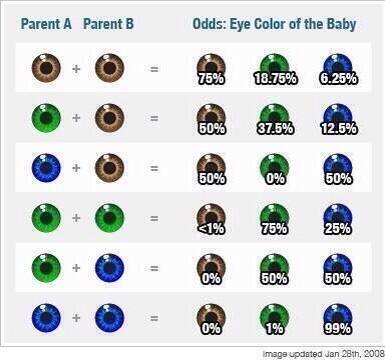 Vind uit wat voor kleur ogen je (toekomstige) kind zal krijgen: