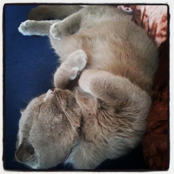KatrinaRussia's tweet photo. My little friend :) http://t.co/3W1nsVRqqh