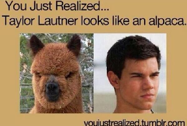 ProblemsGirly_'s tweet image. You just realized.....