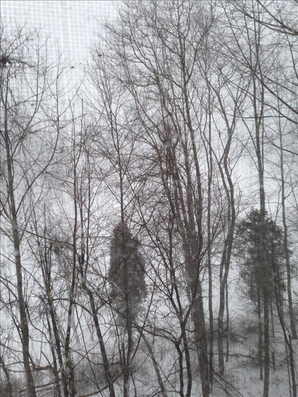 MooreLink's tweet image. Lake side view