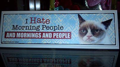 GiftShopCudahy's tweet photo. The Gift Shoppe's here to save the day! Grumpy Cat is on her way!
Grumpy Cat merchandise is at The Gift Shoppe! http://t.co/PCavgh0ECX