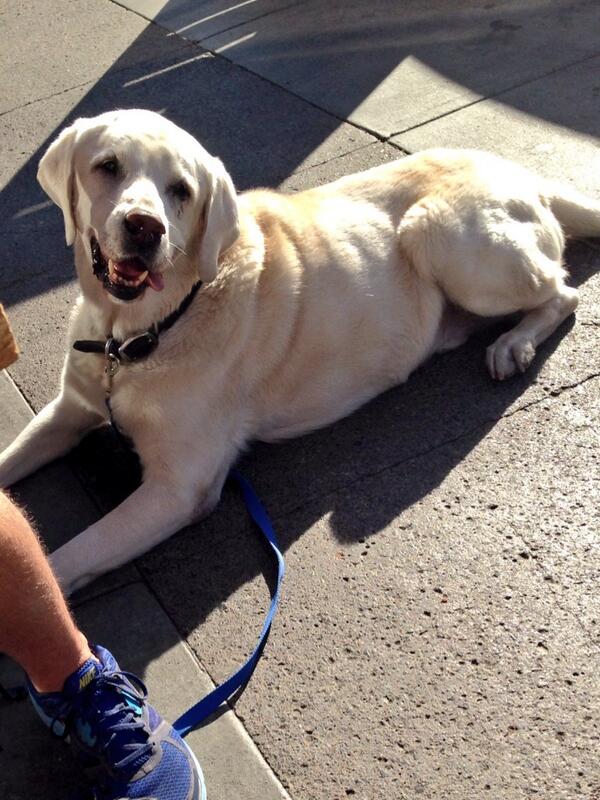 BeautheLab's tweet image. Hi there!