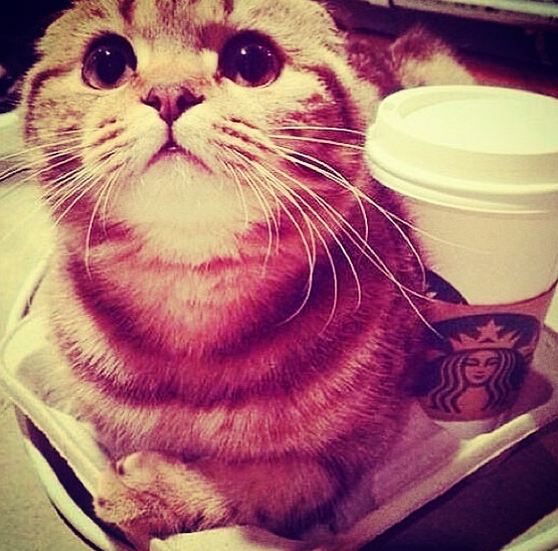 boohooCANADA's tweet photo. Friday, is that you? #FINALLY #TGIF http://t.co/LEdPu6W0Dl