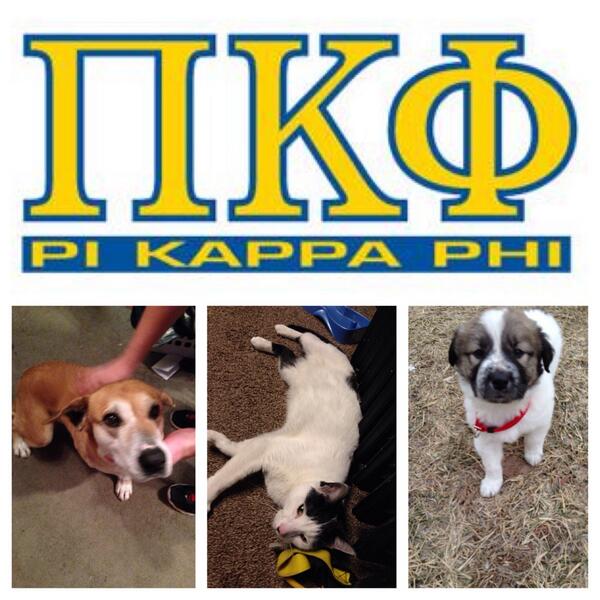 Pi Kappa Phi tweet media