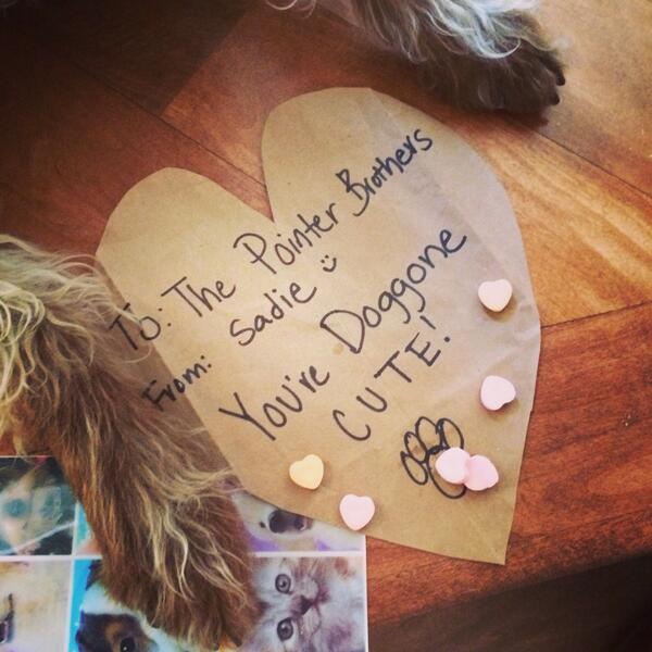 givebones's tweet photo. Sadie's sending a Valentine w/ every Givebones order this week! This one's for #ThePointerBrothers @itwags :) http://t.co/wTMvi8ZybI
