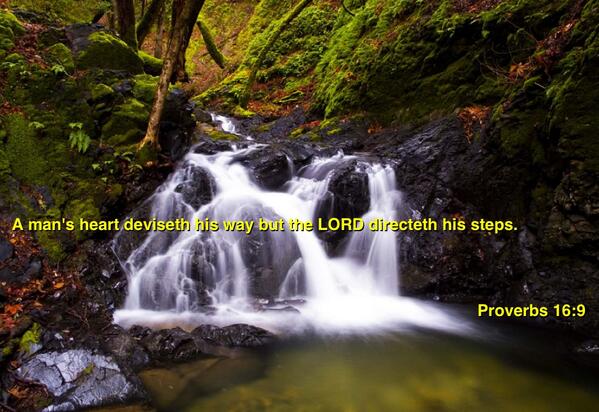 PastorE20's tweet image. (Proverbs 16:9) A man's heart deviseth his way but the LORD directeth his steps.#OrderMyStepsLord