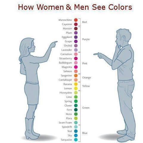 Lil_Cuty_'s tweet image. #men #women #colorview..