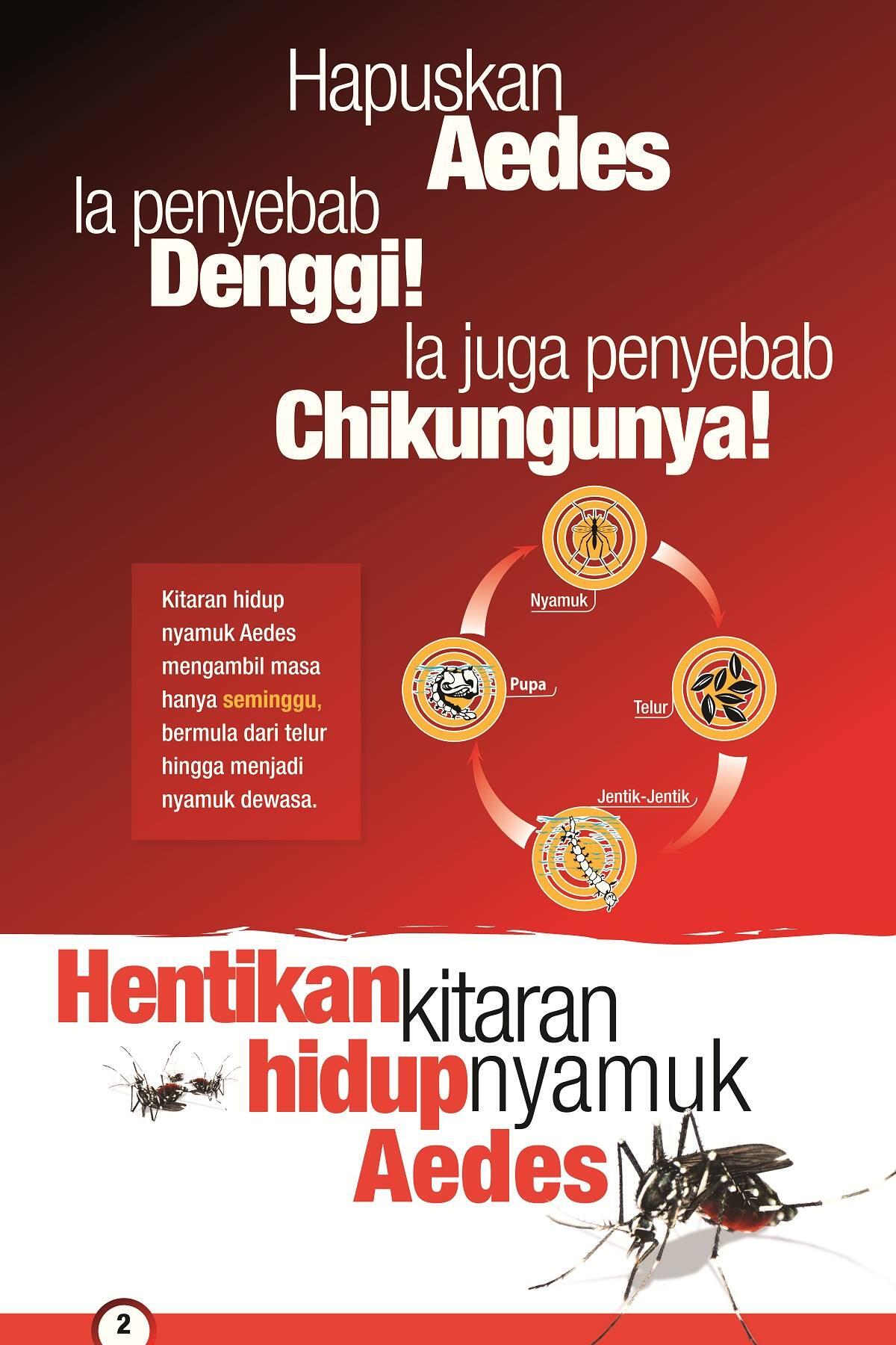 Hidayah On Twitter There Are Four Stages In The Aedes Life Cycle Fogging Only Kills The Adult Mosquitos Msiaendsdengue Http T Co 6itqyhmuzy