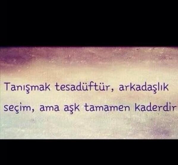 siirdizeleri tweet picture