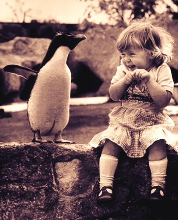 DANIROVIRA's tweet photo. Hazle reir...como sea. http://t.co/cZjIVAvQn5