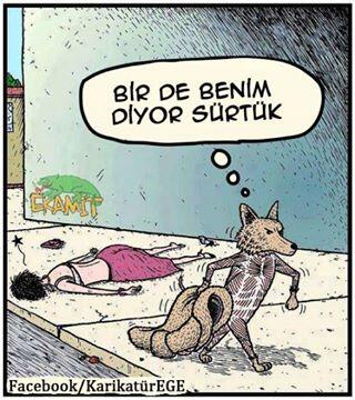 patimiz's tweet photo. http://t.co/gNL88PabHh