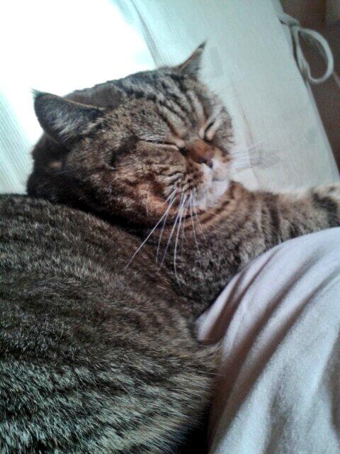 Jenileo3's tweet photo. Morgäään =3 http://t.co/vkXo8Ve8aM