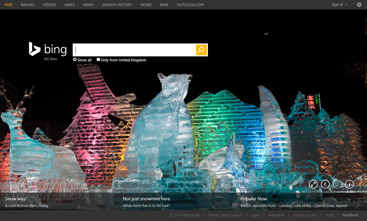 The Most Popular Bing Homepages of 2014