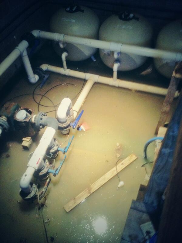 EricFerguson33's tweet image. Really love my job sometimes #sarcasm #poolboyproblems